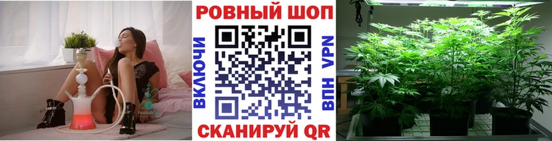 Магазины продажи наркотиков Электрогорск Каннабис  Мефедрон  КОКАИН  АМФ  Гашиш  Alpha-PVP 