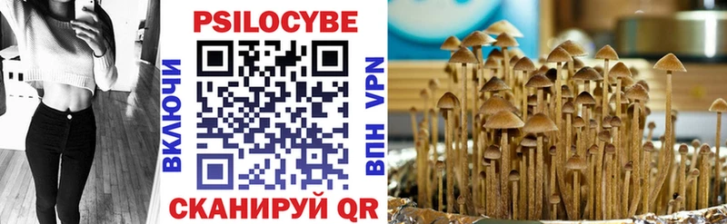 Галлюциногенные грибы Psilocybe  Электрогорск 